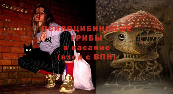 дживик Бугульма