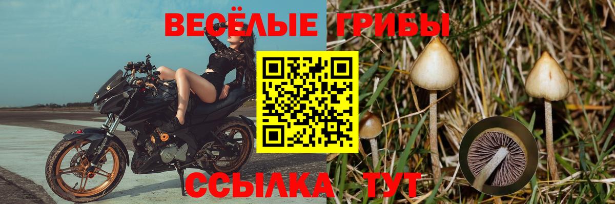 Галлюциногенные грибы MAGIC MUSHROOMS Обь