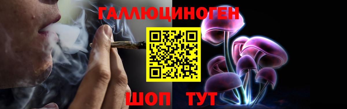 Обь  Галлюциногенные грибы ЛСД  Вход с VPN  Псилоцибиновые грибы мицелий 